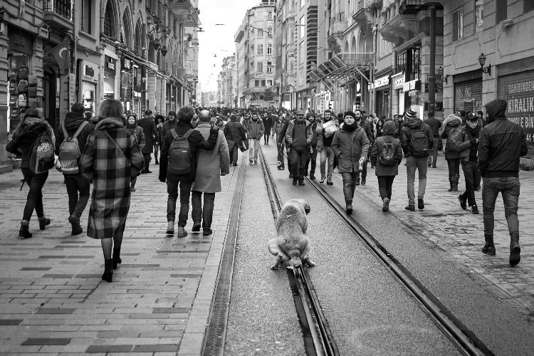 Fotoğraf teknikleri